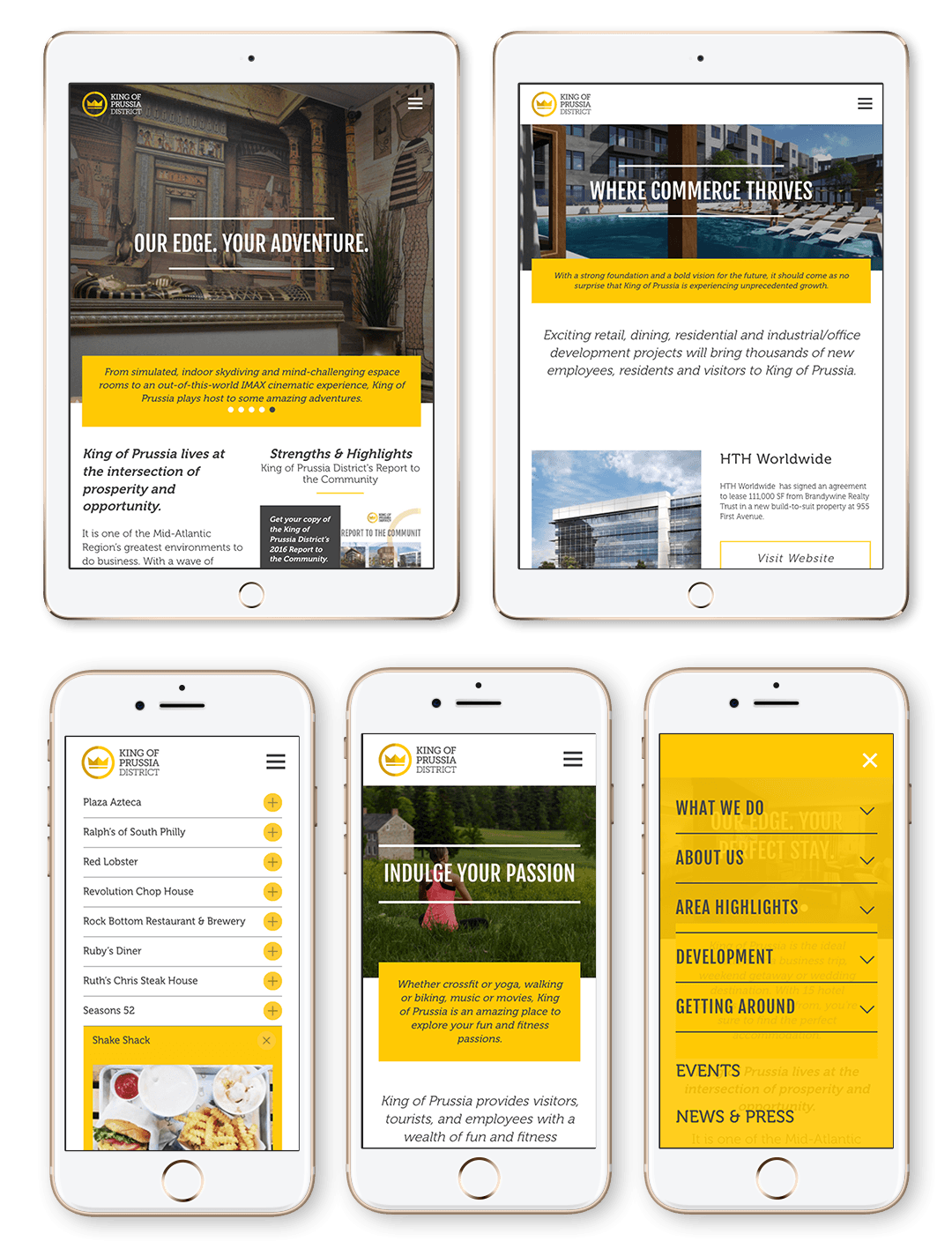 King of Prussia District AgileCat